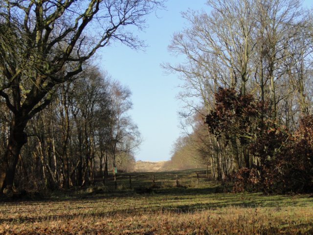 NWK 2010 188.jpg